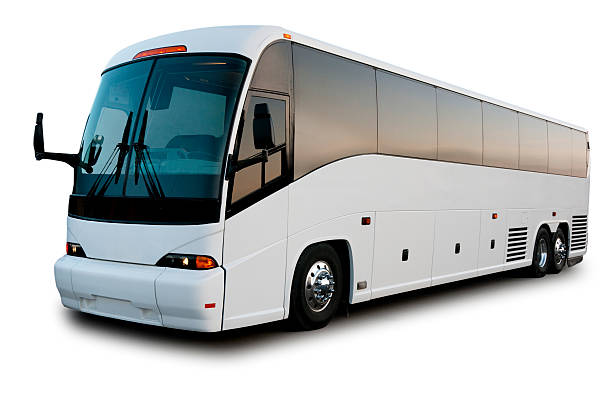 Tour Bus and Group Guides